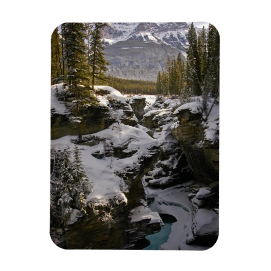 Eis und Schnee | Jasper National Park Alberta, Kan Magnet (Vertikal)