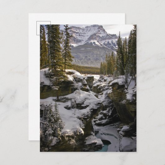 Eis und Schnee | Jasper National Park Alberta, Kan Postkarte (Vorne/Hinten)
