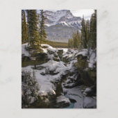 Eis und Schnee | Jasper National Park Alberta, Kan Postkarte (Vorderseite)