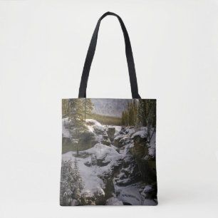 Eis und Schnee   Jasper National Park Alberta, Kan Tasche