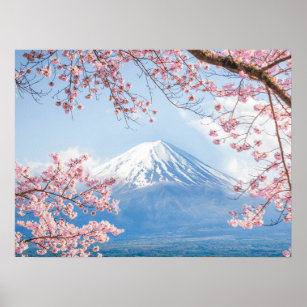 Eis und Schnee   Kirschblüten Berg Fuji Japan Poster