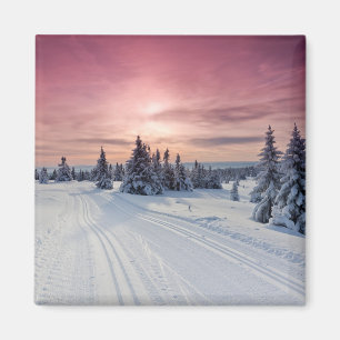 Eis und Schnee Lillehammer, Norwegen Magnet