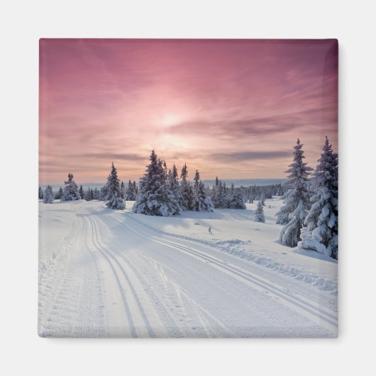 Eis und Schnee | Lillehammer, Norwegen Magnet (Vorne)
