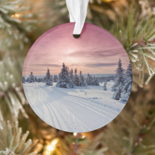 Eis und Schnee Lillehammer, Norwegen Ornament