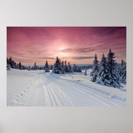 Eis und Schnee | Lillehammer, Norwegen Poster (Vorne)