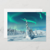 Eis und Schnee | Northern Lights, Lappland, Finnla Postkarte (Vorne/Hinten)