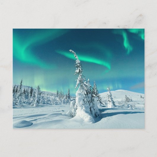 Eis und Schnee | Northern Lights, Lappland, Finnla Postkarte (Vorderseite)