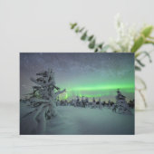 Eis und Schnee | Pallas-Yllastunturi-Nationalpark Dankeskarte (Stehend Vorderseite)