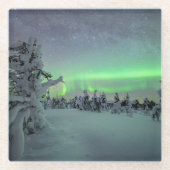 Eis und Schnee | Pallas-Yllastunturi-Nationalpark Glasuntersetzer (Vorderseite)