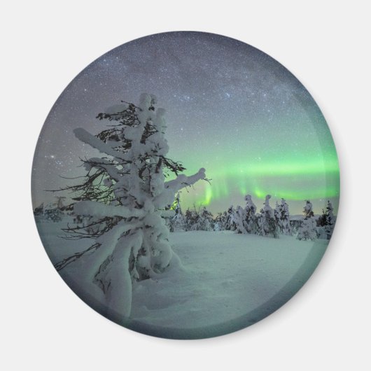 Eis und Schnee | Pallas-Yllastunturi-Nationalpark Magnet (Vorne)