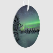 Eis und Schnee | Pallas-Yllastunturi-Nationalpark Ornament (Vorderseite)