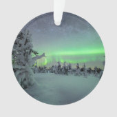 Eis und Schnee | Pallas-Yllastunturi-Nationalpark Ornament (Vorderseite)