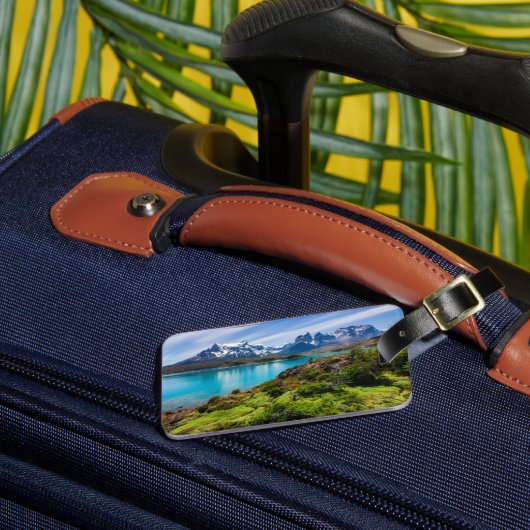 Eis und Schnee | Pehoe-See, Patagonia, Chile Gepäckanhänger (Vorderseite Insitu 3)