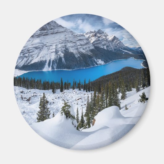 Eis und Schnee | Peyto-See, Kanadische Rockies Magnet (Vorne)