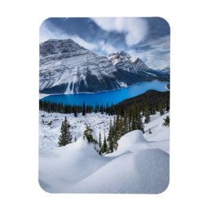 Eis und Schnee   Peyto-See, Kanadische Rockies Magnet