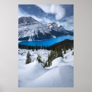 Eis und Schnee Peyto-See, Kanadische Rockies Poster