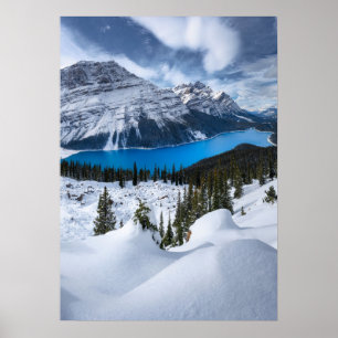 Eis und Schnee Peyto-See, Kanadische Rockies Poster