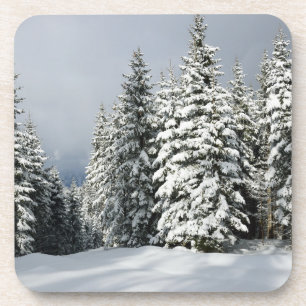 Eis und Schnee   Pine Woodland, Österreich Getränkeuntersetzer