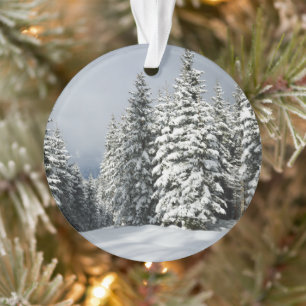 Eis und Schnee   Pine Woodland, Österreich Ornament