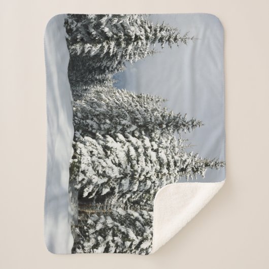 Eis und Schnee | Pine Woodland, Österreich Sherpadecke (Vorderseite)