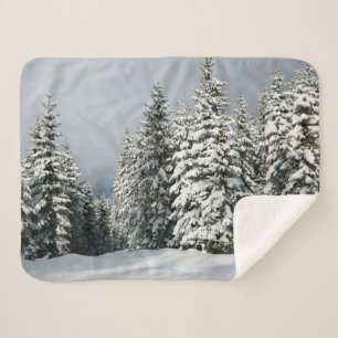 Eis und Schnee Pine Woodland, Österreich Sherpadecke