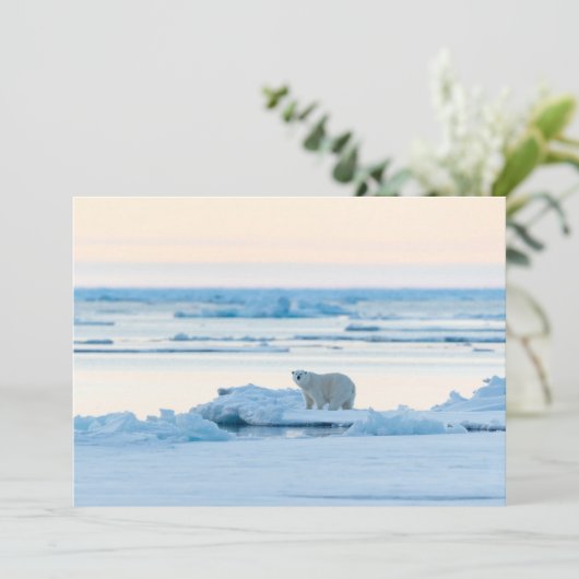 Eis und Schnee | Polar Bear Iceberg Norwegen Dankeskarte (Stehend Vorderseite)