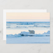 Eis und Schnee | Polar Bear Iceberg Norwegen Dankeskarte (Vorne/Hinten)