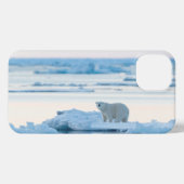 Eis und Schnee | Polar Bear Iceberg Norwegen iPhone Hülle (Rückseite (Horizontal))