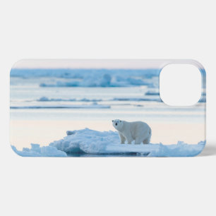 Eis und Schnee   Polar Bear Iceberg Norwegen iPhone 13 Hülle