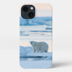 Eis und Schnee   Polar Bear Iceberg Norwegen iPhone 13 Hülle