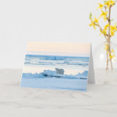 Eis und Schnee | Polar Bear Iceberg Norwegen Karte (Gelbe Blume)