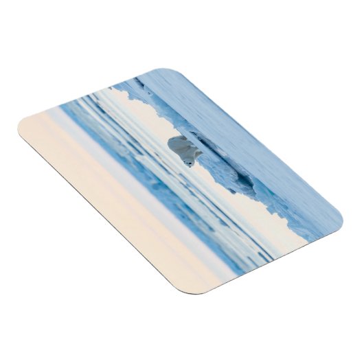 Eis und Schnee | Polar Bear Iceberg Norwegen Magnet (Rechte Seite)