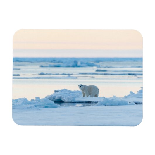 Eis und Schnee | Polar Bear Iceberg Norwegen Magnet (Horizontal)