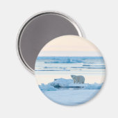 Eis und Schnee | Polar Bear Iceberg Norwegen Magnet (Vorderseite/Rückseite)