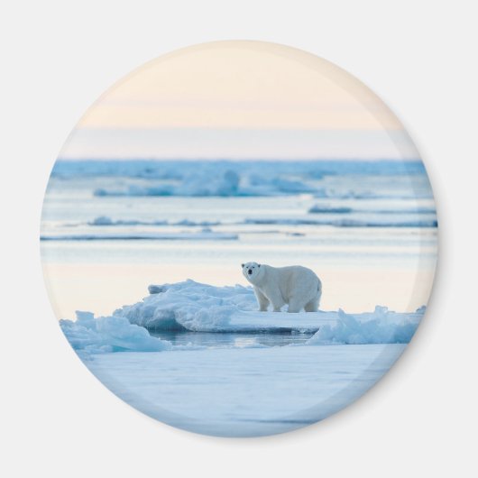 Eis und Schnee | Polar Bear Iceberg Norwegen Magnet (Vorne)