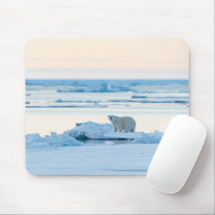 Eis und Schnee   Polar Bear Iceberg Norwegen Mousepad