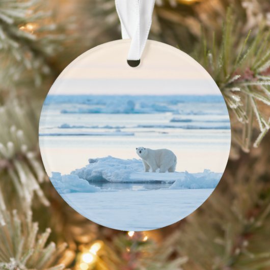Eis und Schnee | Polar Bear Iceberg Norwegen Ornament (Baum)