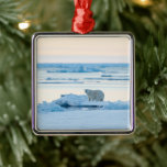 Eis und Schnee | Polar Bear Iceberg Norwegen Ornament Aus Metall<br><div class="desc">Dieses phantastische Foto von Getty Images besticht durch einen Eisbär,  der auf Eis spaziert und nach Essen sucht.</div>