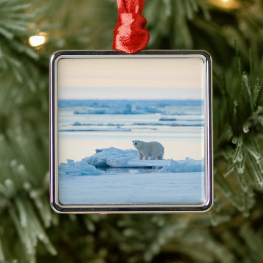 Eis und Schnee | Polar Bear Iceberg Norwegen Ornament Aus Metall (Baum)