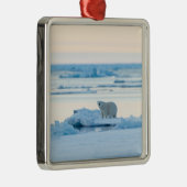Eis und Schnee | Polar Bear Iceberg Norwegen Ornament Aus Metall (Rechts)