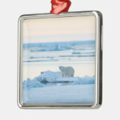Eis und Schnee | Polar Bear Iceberg Norwegen Ornament Aus Metall (Links)