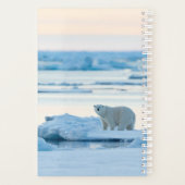 Eis und Schnee | Polar Bear Iceberg Norwegen Planer (Rückseite)