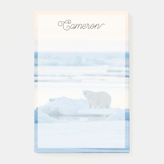 Eis und Schnee | Polar Bear Iceberg Norwegen Post-it Klebezettel (Vorderseite)