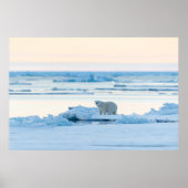 Eis und Schnee | Polar Bear Iceberg Norwegen Poster (Vorne)