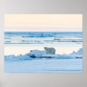 Eis und Schnee | Polar Bear Iceberg Norwegen Poster (Vorne)