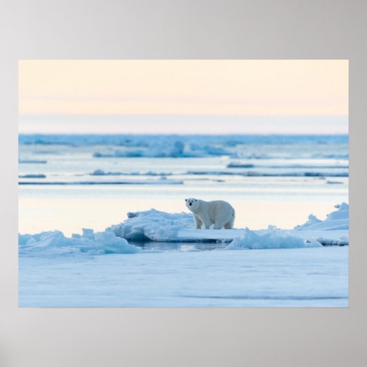 Eis und Schnee | Polar Bear Iceberg Norwegen Poster (Vorne)