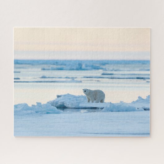 Eis und Schnee | Polar Bear Iceberg Norwegen Puzzle (Horizontal)