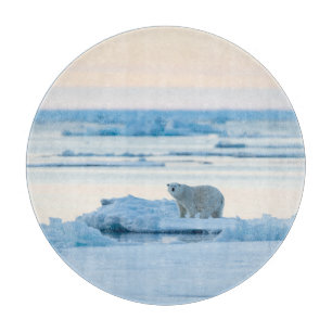 Eis und Schnee Polar Bear Iceberg Norwegen Schneidebrett
