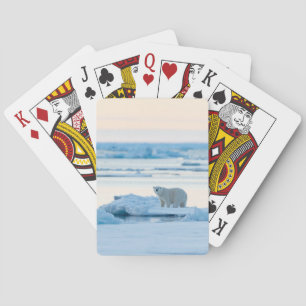 Eis und Schnee Polar Bear Iceberg Norwegen Spielkarten