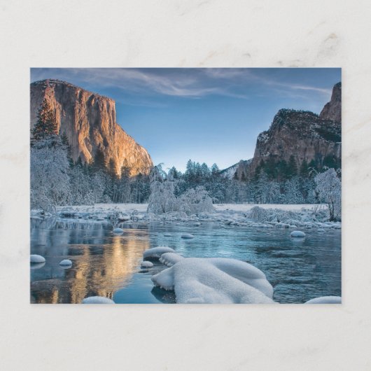 Eis und Schnee | Rime Ice im Yosemite-Tal Postkarte (Vorderseite)